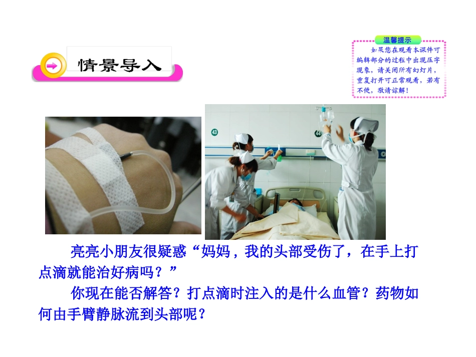 第9章-第2节--血液循环(二)-课件(北师大版七年级下)_第2页