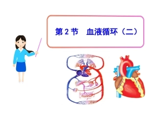 第9章-第2节--血液循环(二)-课件(北师大版七年级下)