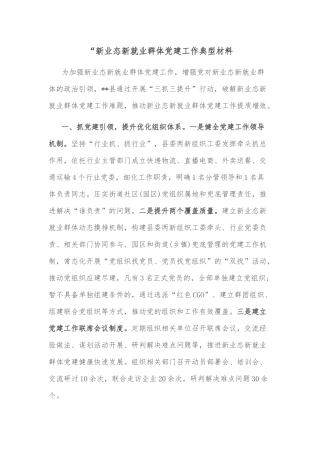新业态新就业群体党建工作典型材料