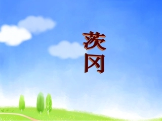 《茨冈》课件