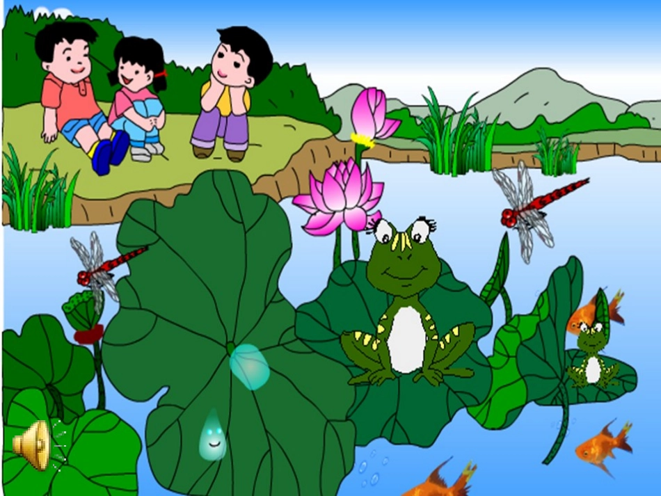 任慧荷叶圆圆_第1页