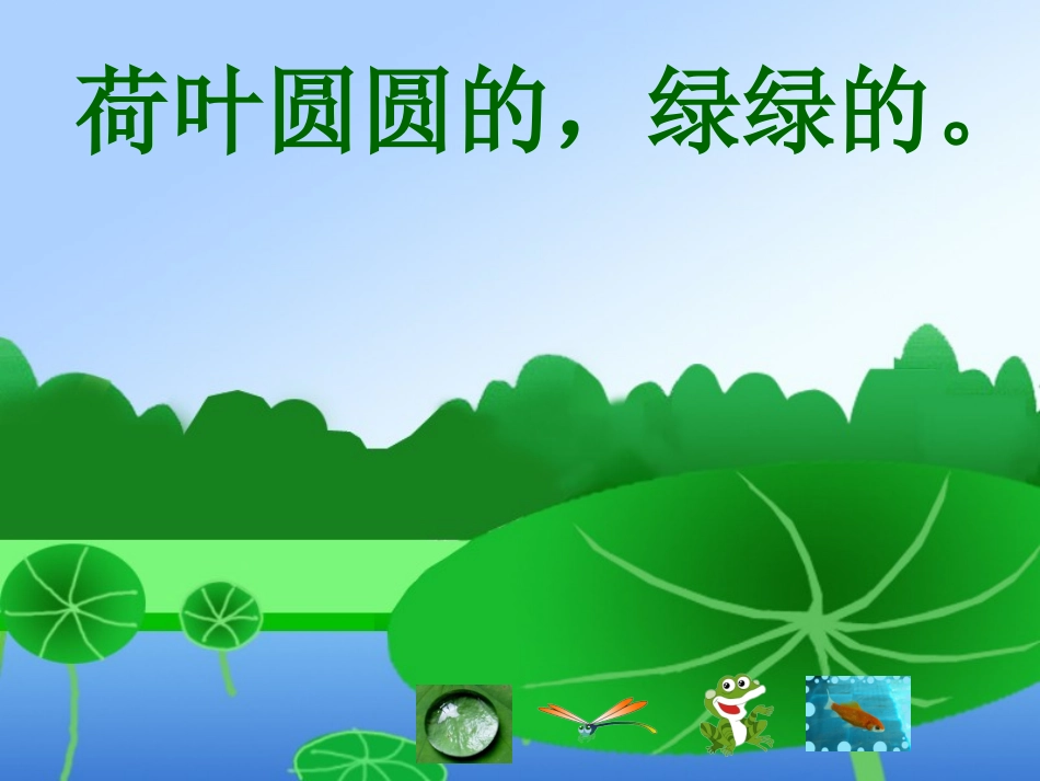 任慧荷叶圆圆_第3页