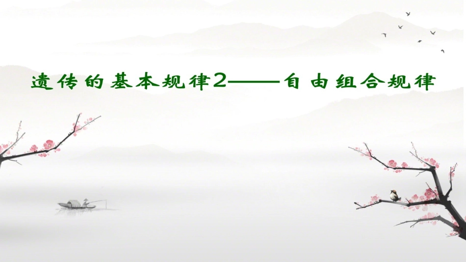 第一节自由组合规律试验_第1页