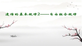 第一节自由组合规律试验