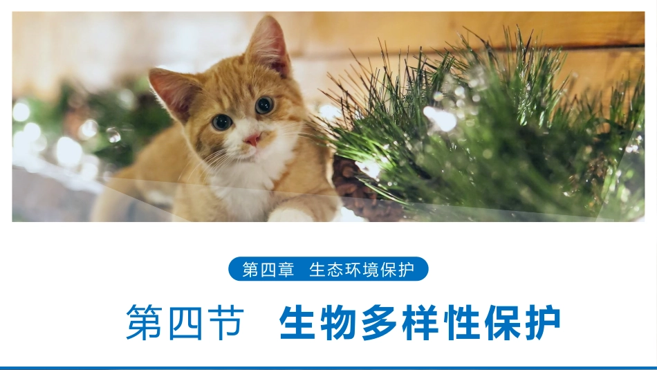 第四节生物多样性保护_第1页