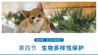 第四节生物多样性保护