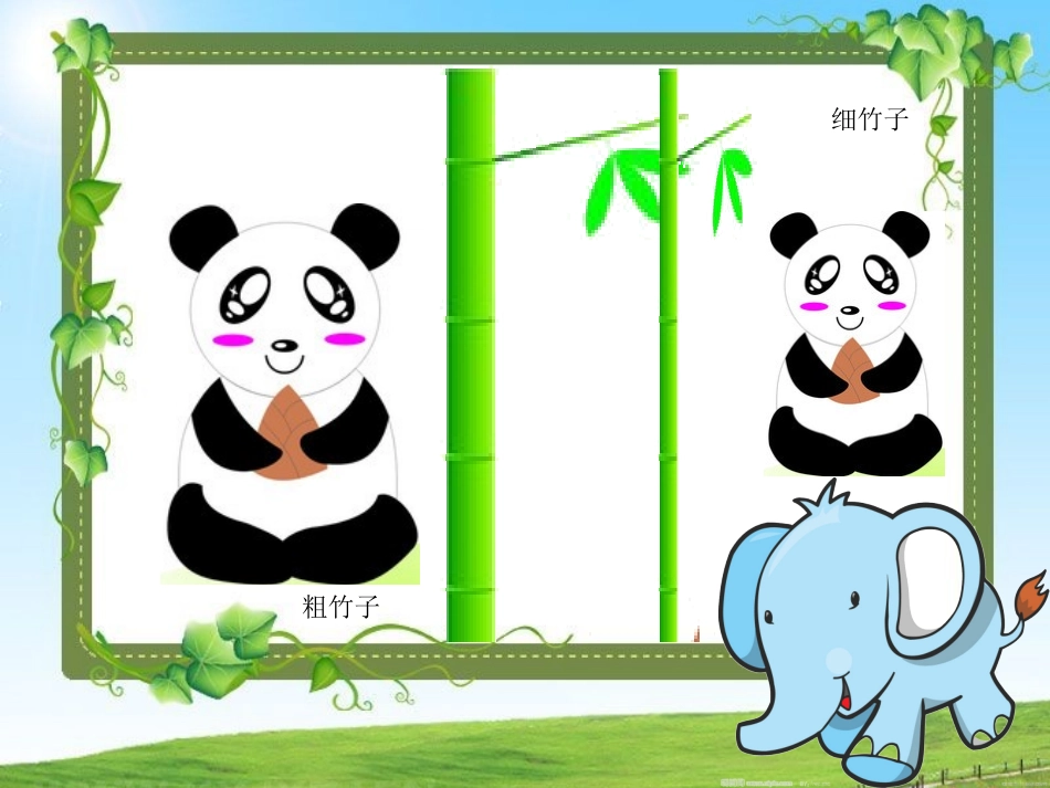 中班数学：比一比-说一说_第3页