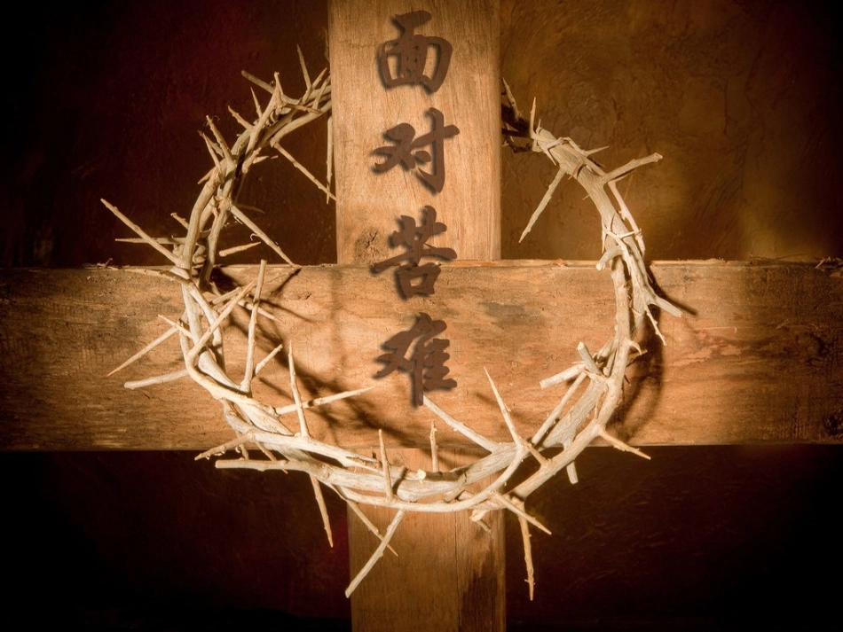 16、面对苦难_第1页