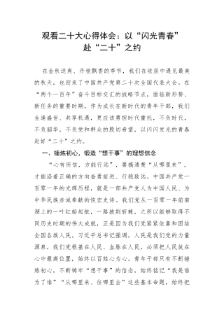 观看20da心得体会