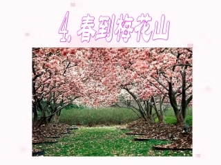 4春到梅花山