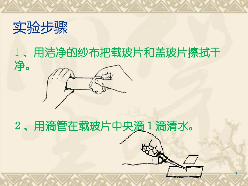 第一节细胞-(2)_第3页