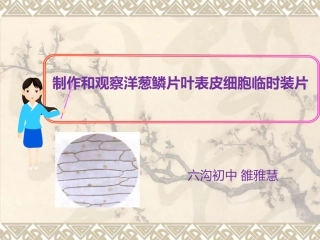 第一节细胞-(2)