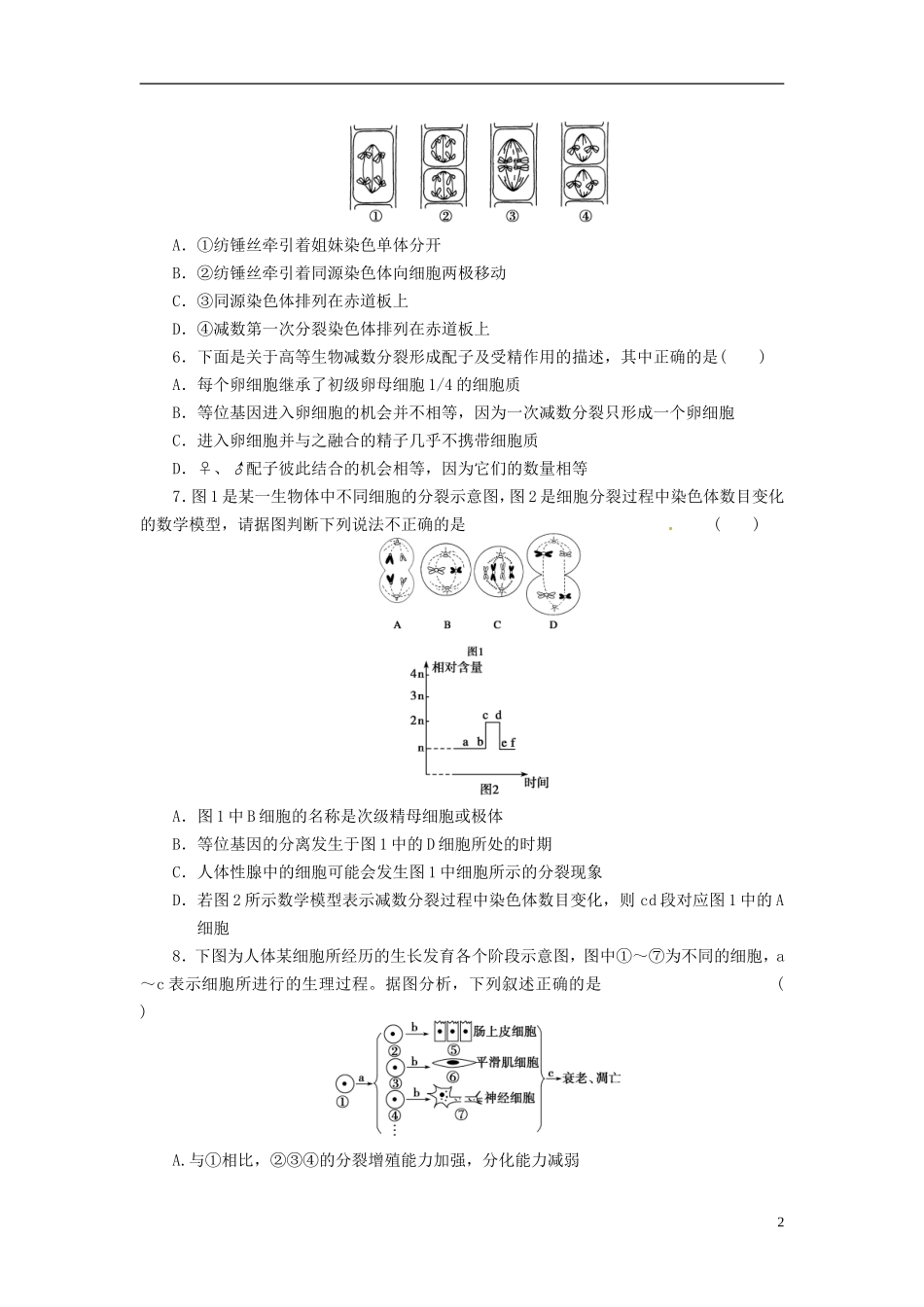 (通用版)2013届高三生物二轮测试题-细胞的生命历程、-新人教版必修1-_第2页