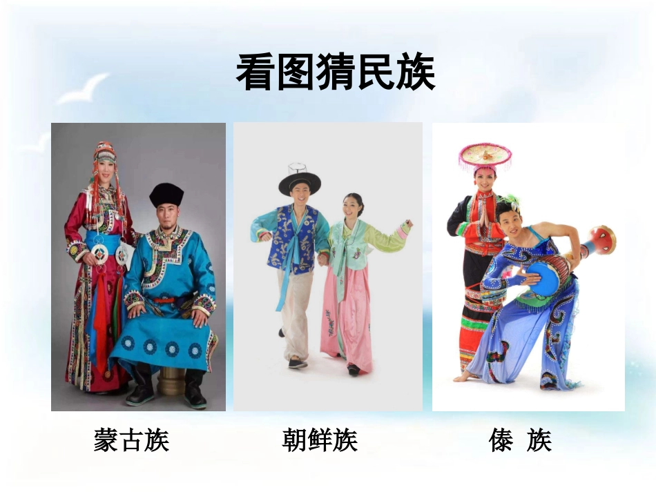 地球上的民族与种族_第3页