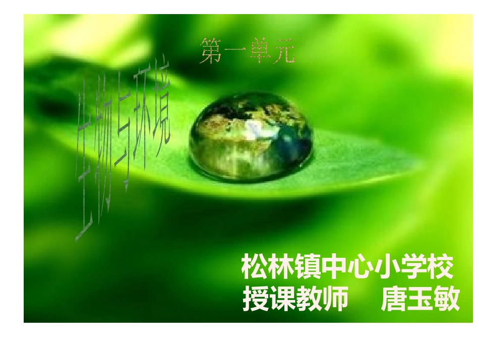 种子发芽实验(一)_第1页