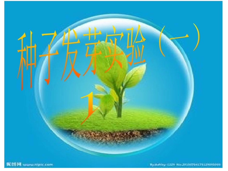 种子发芽实验(一)_第2页