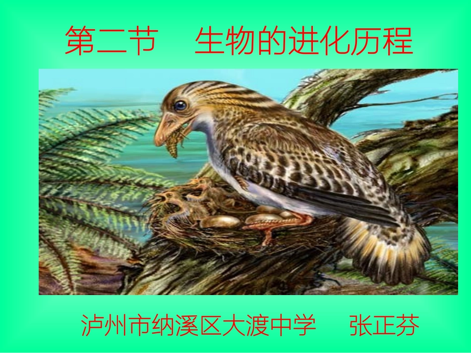 第二节生物进化的历程_第1页