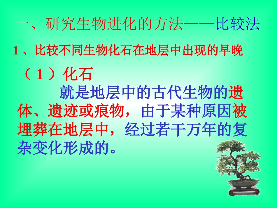 第二节生物进化的历程_第3页