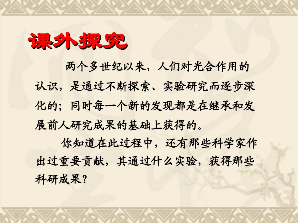 光合作用的发现_第3页