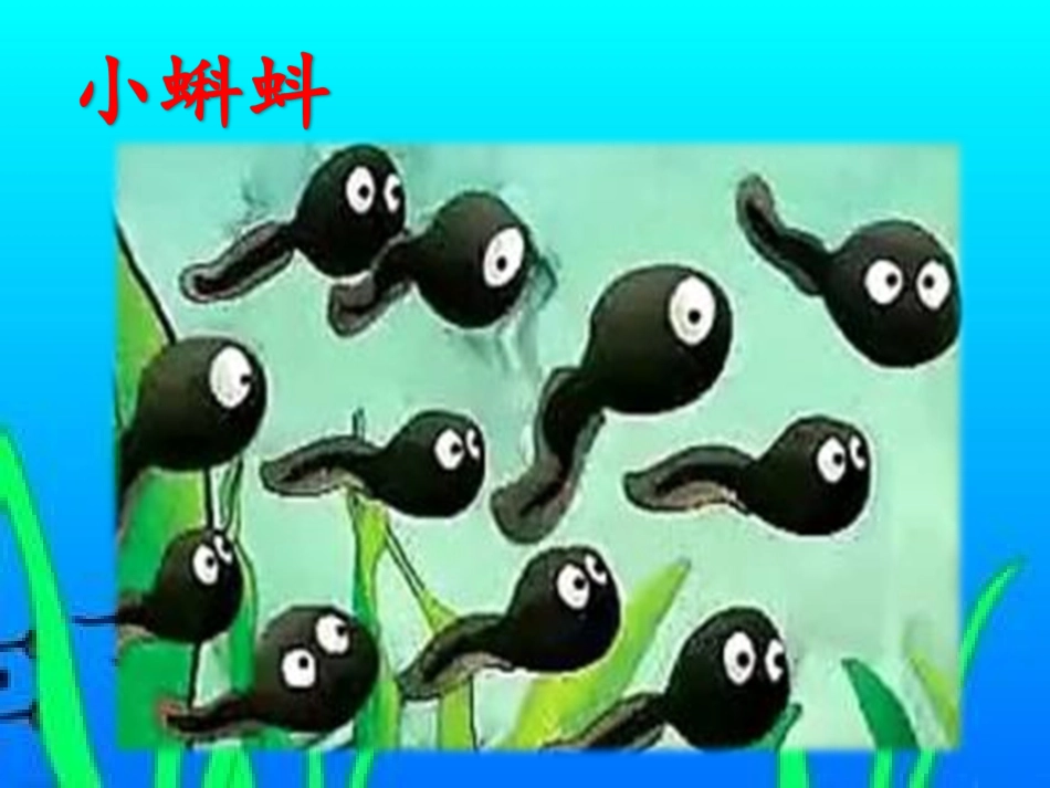 17小蝌蚪找妈妈_第2页