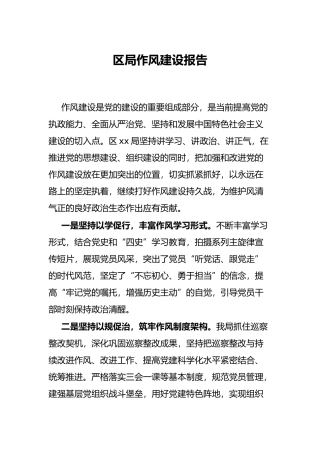 区局作风建设报告