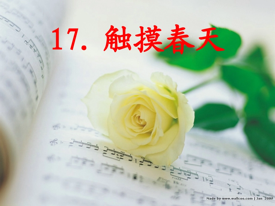 8.触摸春天_第1页