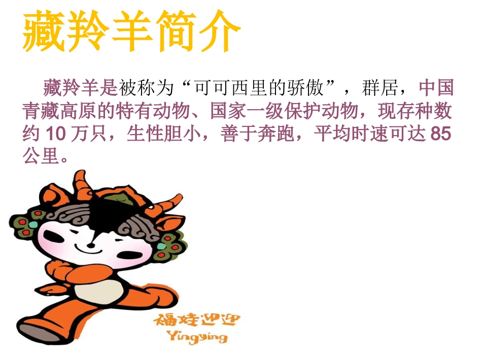 14、藏羚羊过马路_第3页