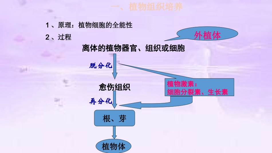 2.1.2-植物细胞工程的实际应用_第1页
