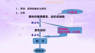 2.1.2-植物细胞工程的实际应用