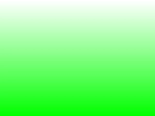 人教2011版小学数学三年级两位数乘两位数(北京--王伟)