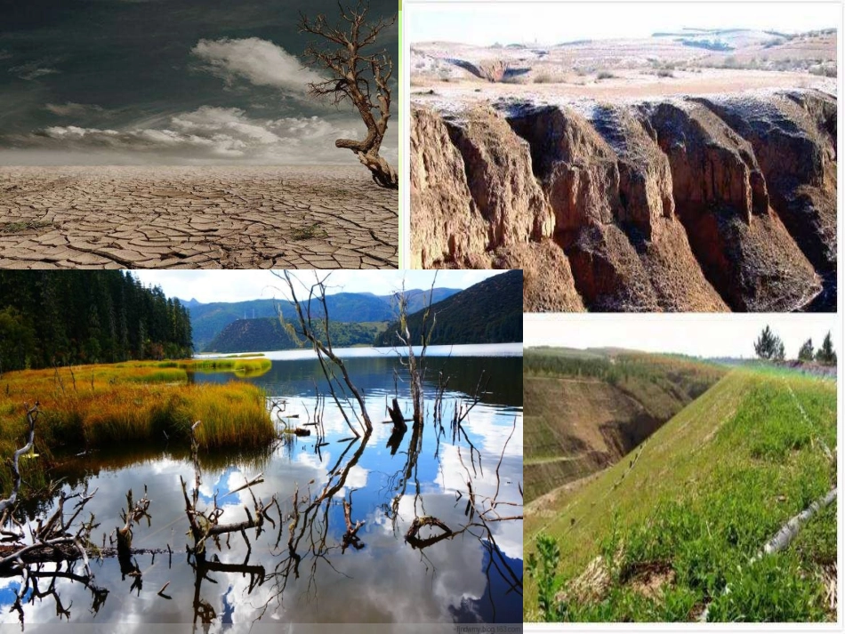 科学·技术·社会-恢复生态学及其应用-(5)_第2页