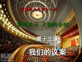 第十三课我们的“议案”
