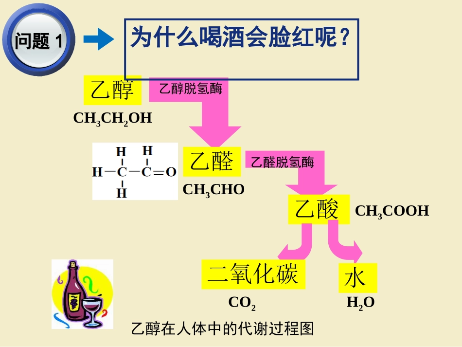 酒中精华──乙醇-(5)_第3页