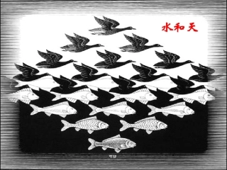 7.6图形的平移