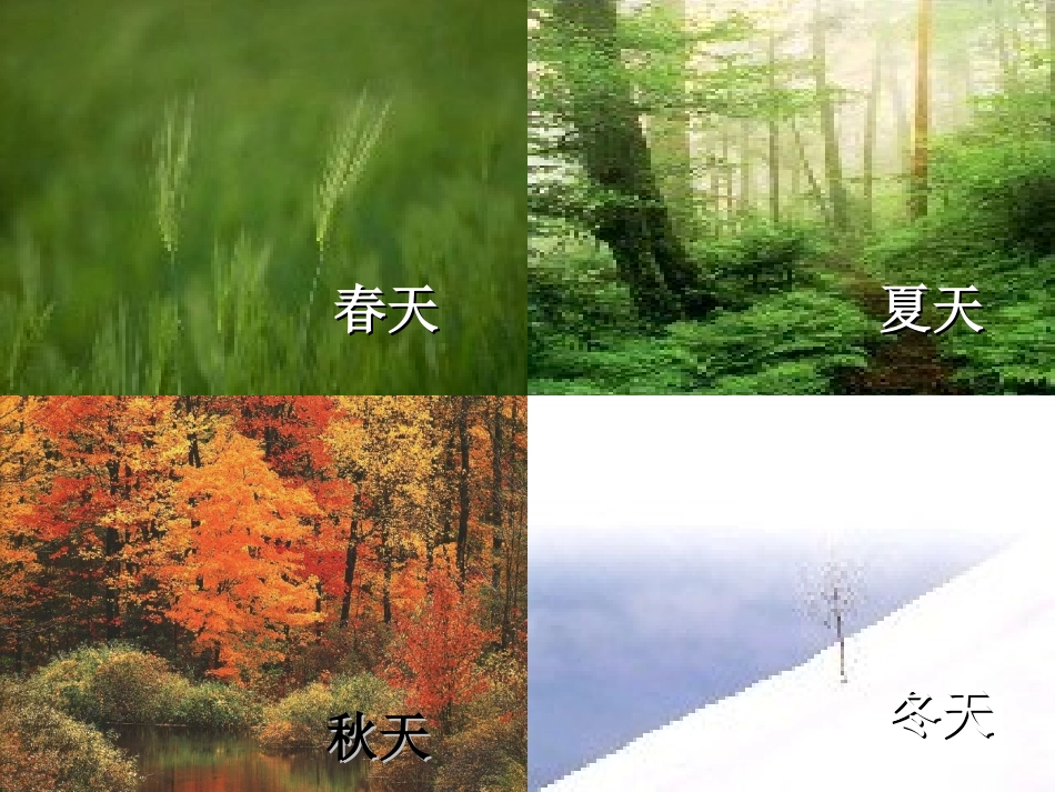 5大自然的语言_第3页