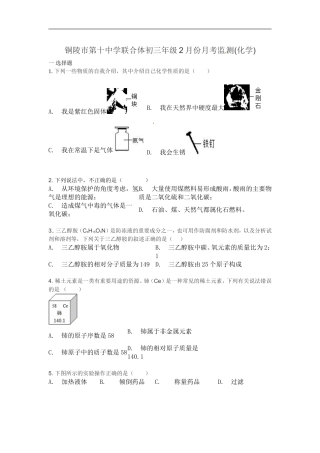 安徽省铜陵市第十中学联合体2016届九年级2月月考化学试题