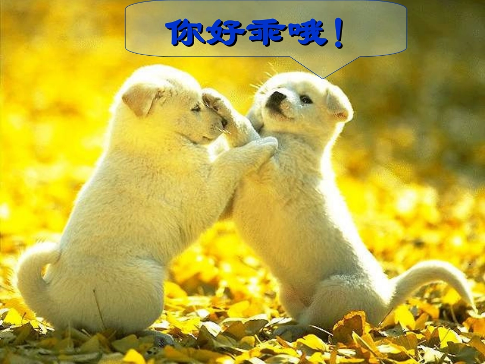 12-动物游戏之迷_第1页