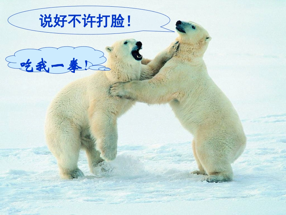 12-动物游戏之迷_第3页