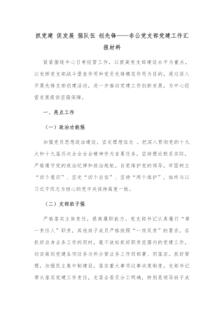 抓党建 促发展 强队伍 创先锋——非公党支部党建工作汇报材料
