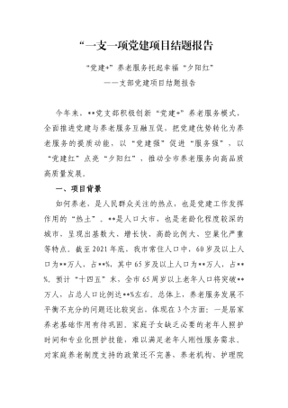 “一支一项党建项目结题报告