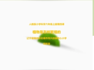 4-植物是怎样繁殖的