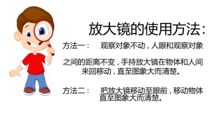 放大镜下的昆虫世界
