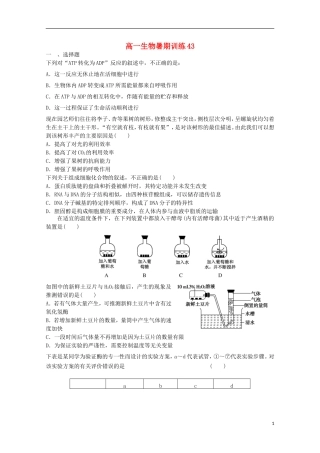 高一生物暑期训练43