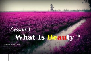 unit18-what's-beauty