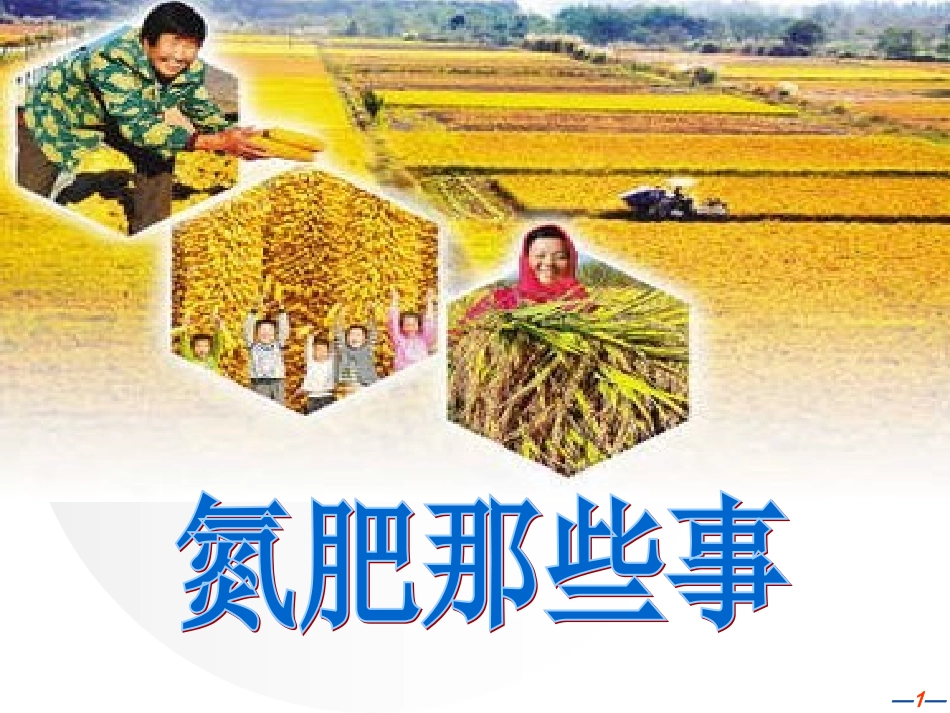 铵态氮肥-(4)_第1页