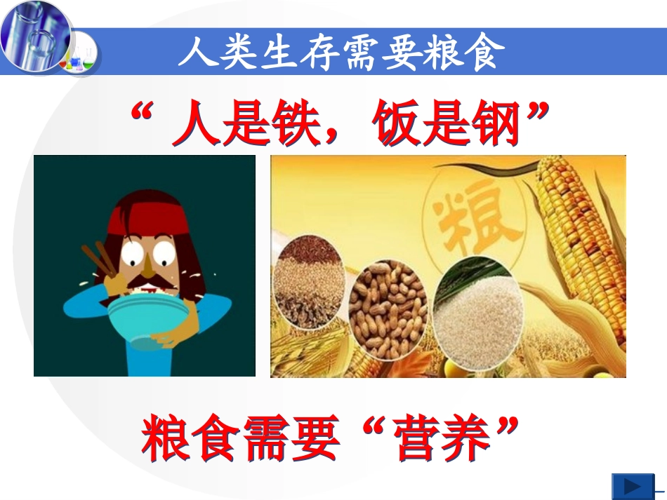 铵态氮肥-(4)_第2页