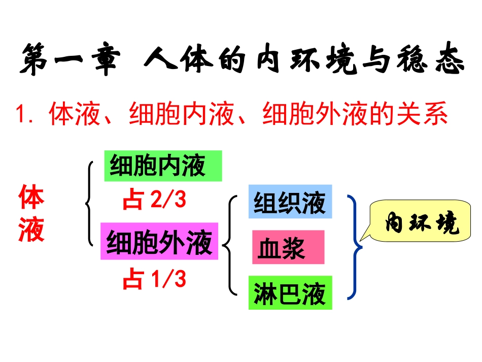 4.内环境与稳态_第2页