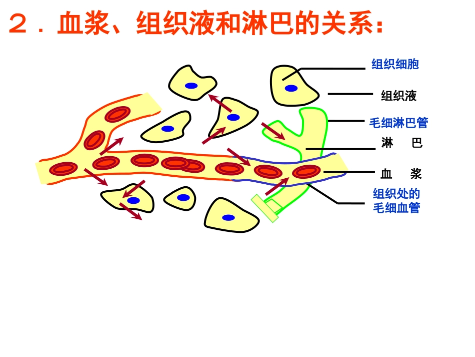 4.内环境与稳态_第3页