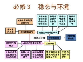 4.内环境与稳态