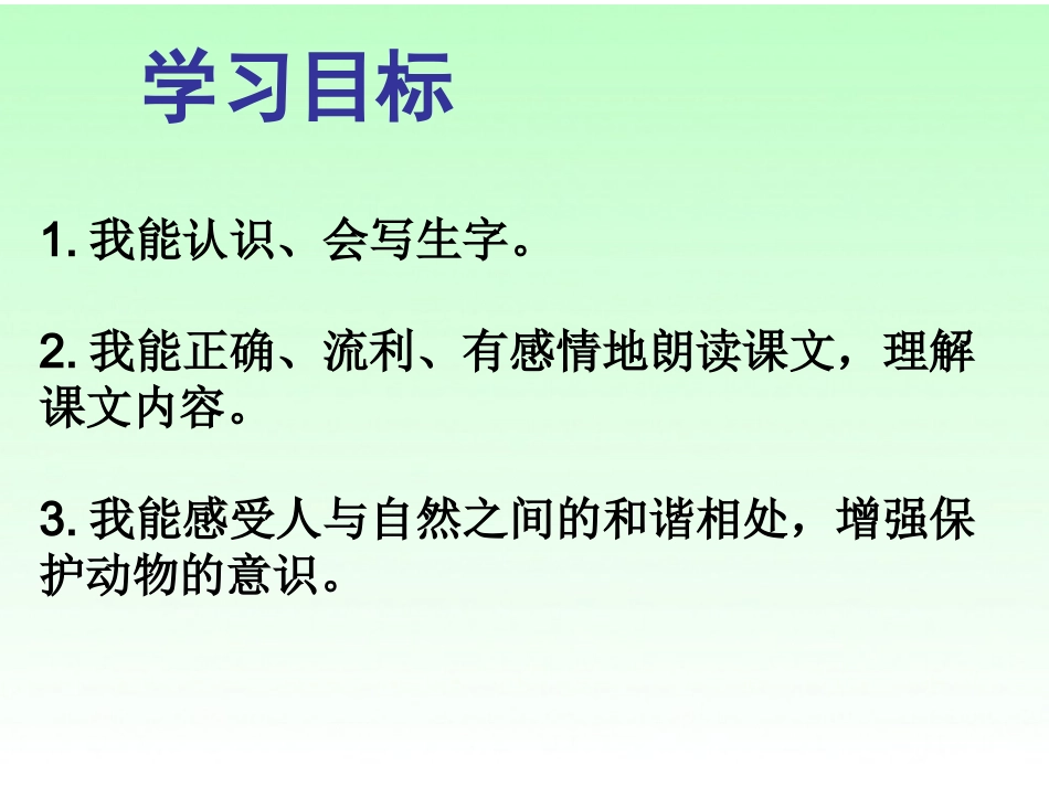 小鸟和守林老人ppt_第3页